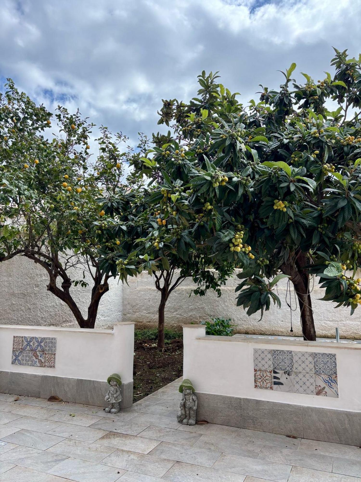 טרפאני Residence Prato מראה חיצוני תמונה